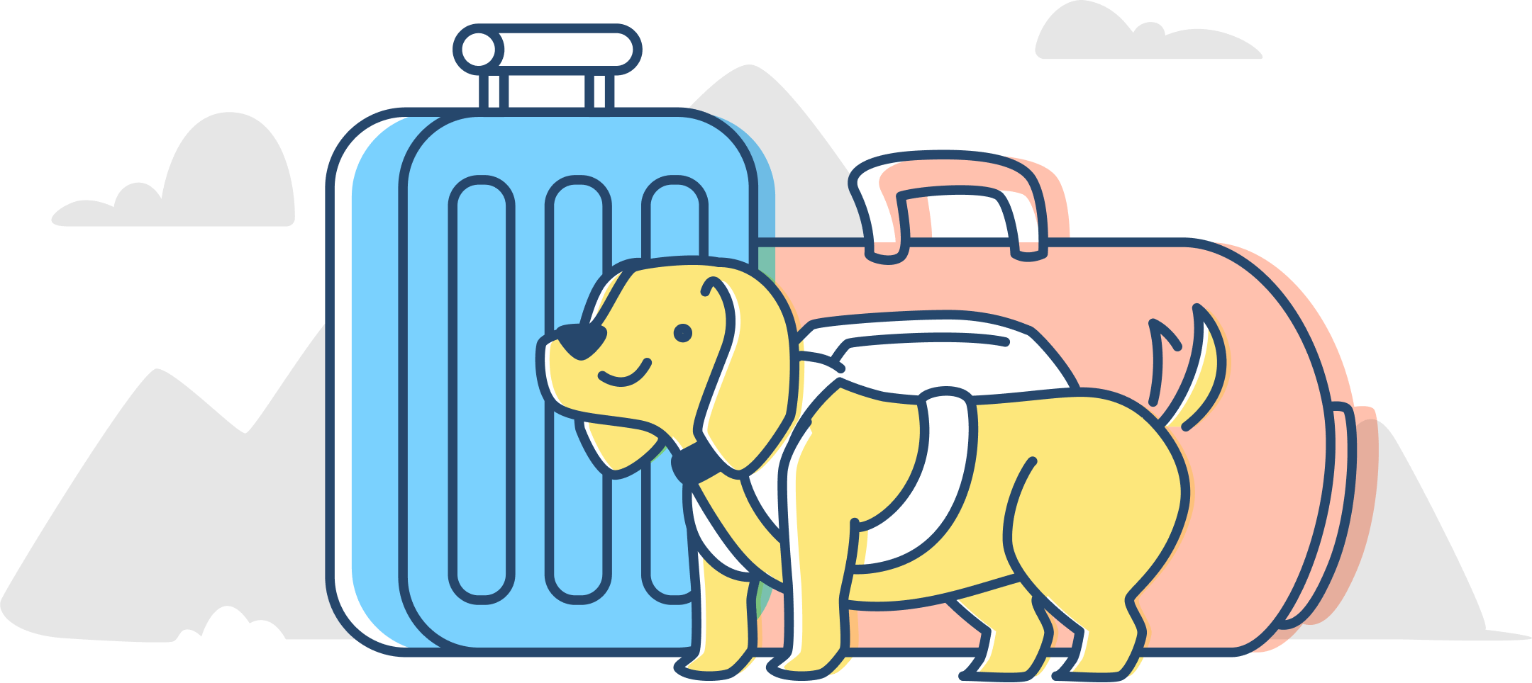 pet-trainer-illustration-11@2x